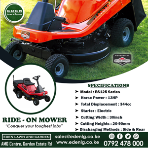 EDEN RIDE ON MOWER 2 30'' Briggs & Stratton Ride-On Lawn Mower